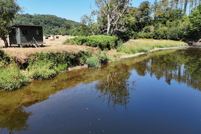 Studio house on Land and Fishing Rights, Scoope Bridge, Umberleigh, £410,000