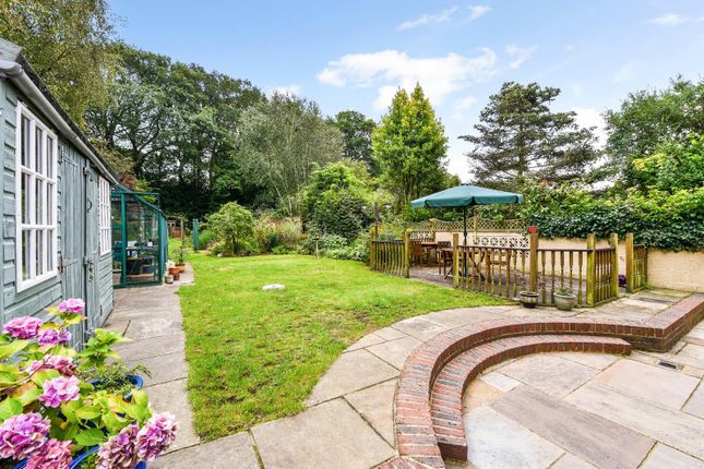 Thumbnail Bungalow for sale in London Road, Hill Brow, Liss, West Sussex