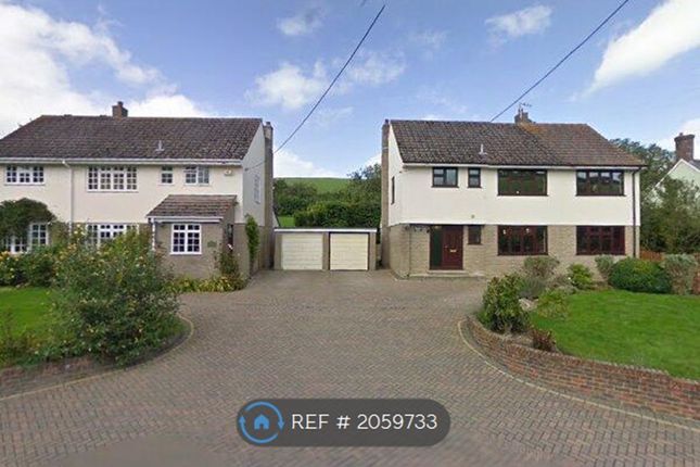 Thumbnail Detached house to rent in Winterborne Houghton, Blandford Forum