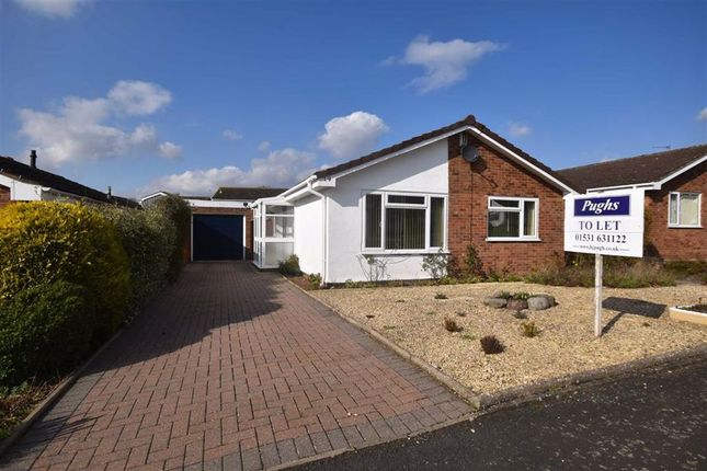 Thumbnail Detached bungalow to rent in Orchard Place, Ledbury, Herefordshire