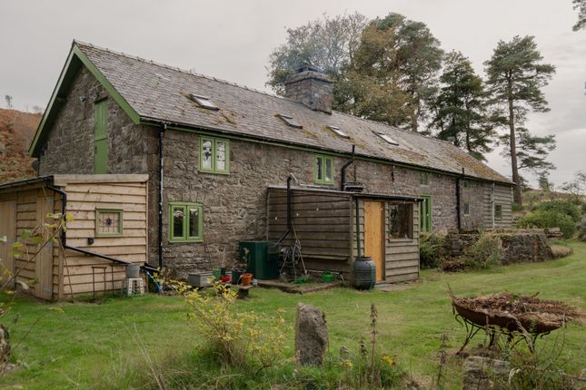 314793 - _A742185.Jpg