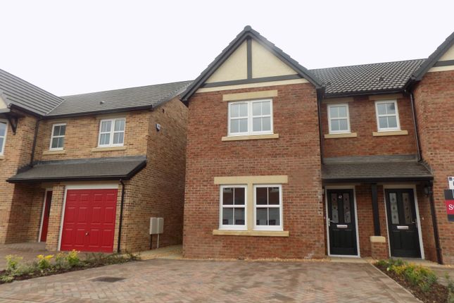 Thumbnail Semi-detached house to rent in Hadrians Way, Houghton