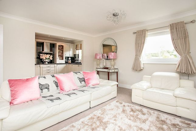 654 cherry tree road 2 bed detached house for sale in the cherry tree shieldhill road torthorwald dumfries dg1 zoopla 654 cherry tree road 2 bed detached house for sale in the cherry tree shieldhill road torthorwald dumfries dg1 zoopla