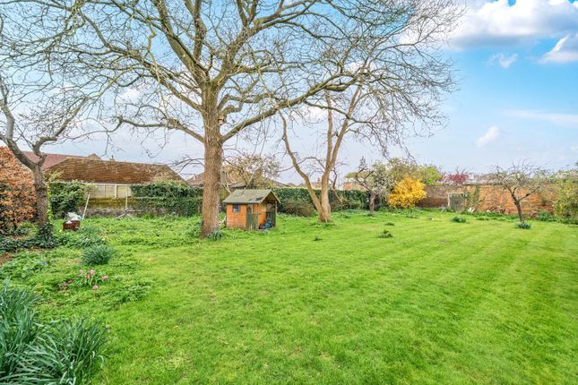 Lower Halliford House,, Walton Lane, Shepperton photo 2