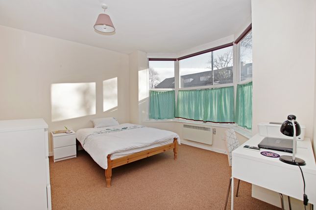 386, Ecclesall Road, Sheffield photo 4