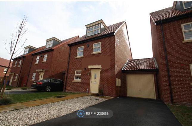 Detached house to rent in Glossop Street, Derby