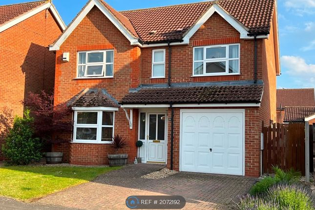 Thumbnail Detached house to rent in Halfpenny Close, Welton, Lincoln