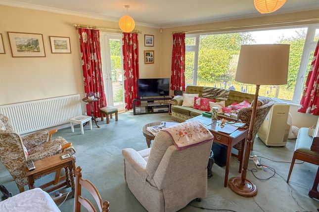 Leander, Station Hill, Newton Abbot photo 4