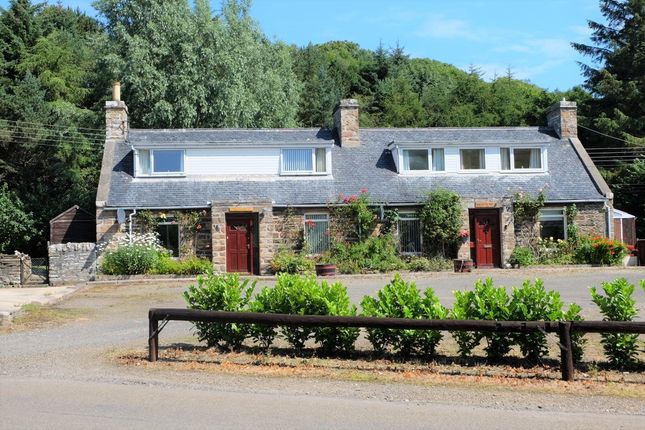 Thumbnail Property for sale in Portormin Road, Dunbeath