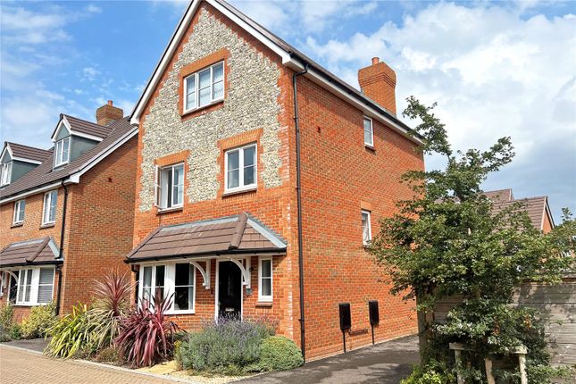 Thumbnail Detached house for sale in Verbena Drive, Angmering, West Sussex