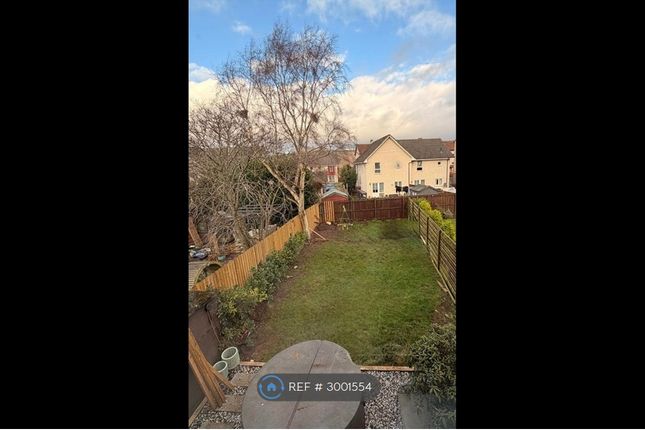 Findowrie Street, Fintry, Dundee photo 5