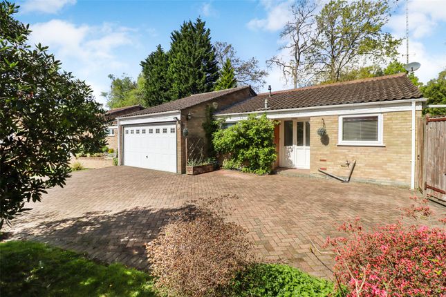 Thumbnail Bungalow for sale in Verran Road, Camberley, Surrey