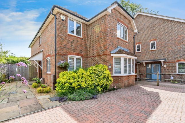 Thumbnail Detached house for sale in Pine Close, Westergate, Chichester