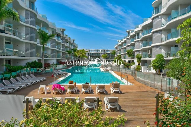 Thumbnail Apartment for sale in Palm-Mar, Santa Cruz Tenerife, Spain