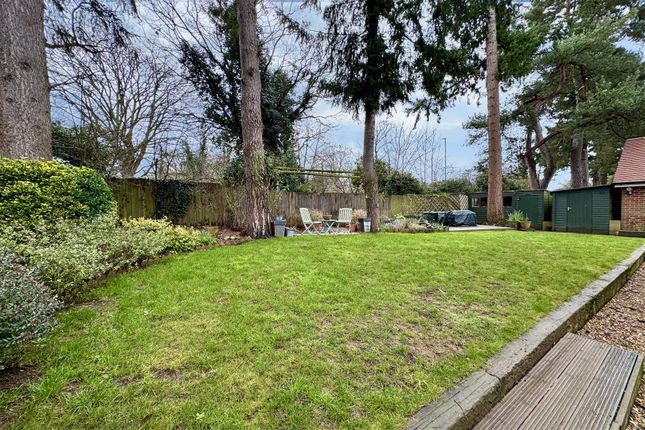 Jaytrees, 5a, Manor Lea Close, Milford photo 3