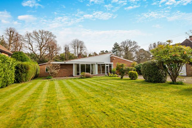 Thumbnail Bungalow for sale in Broomfield Park, Ascot, Berkshire