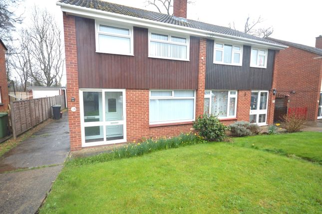 Thumbnail Semi-detached house to rent in Newhayes Close, St Thomas, Exeter