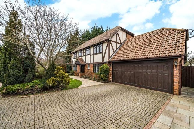 Thumbnail Country house for sale in Church Lane, Bisley, Surrey