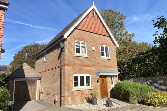 Thumbnail Detached house for sale in Meadow Close, Lavant, Chichester