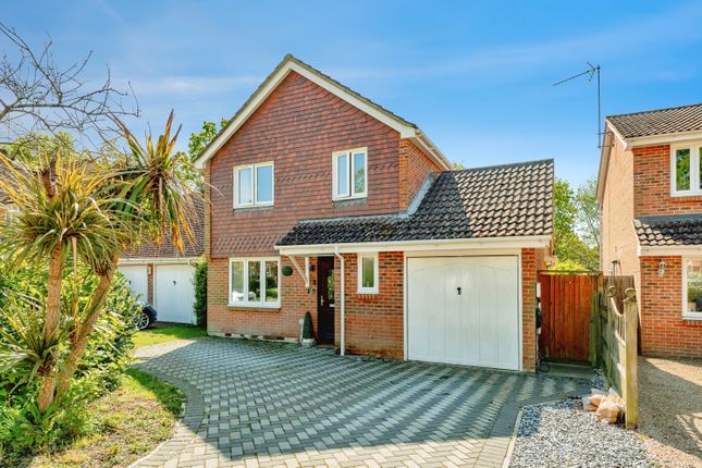 Thumbnail Detached house for sale in Alley Groves, Horsham