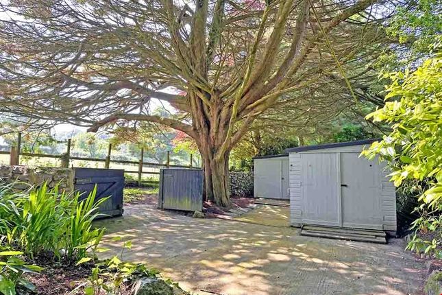 Wye Cottage, Redruth photo 4