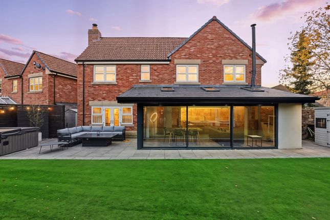 P1673685_Twilight_9F605F63-79F5-4E98-91ee-748Ebd6A434F-Min