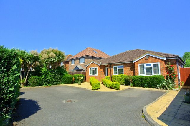 Thumbnail Detached bungalow for sale in Ashgrove Road, Ashford