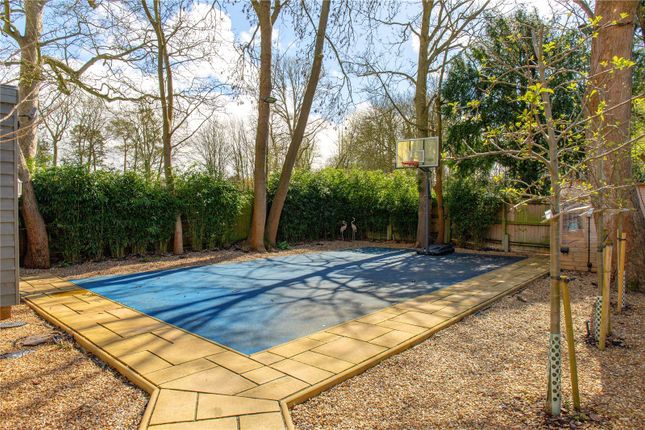 Basketball Court