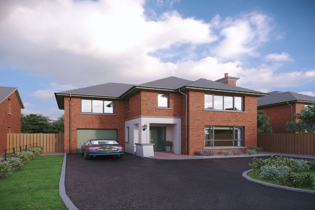 Thumbnail Detached house for sale in Hanover Hill, Bangor, County Down