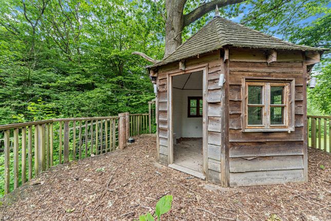 Tree House
