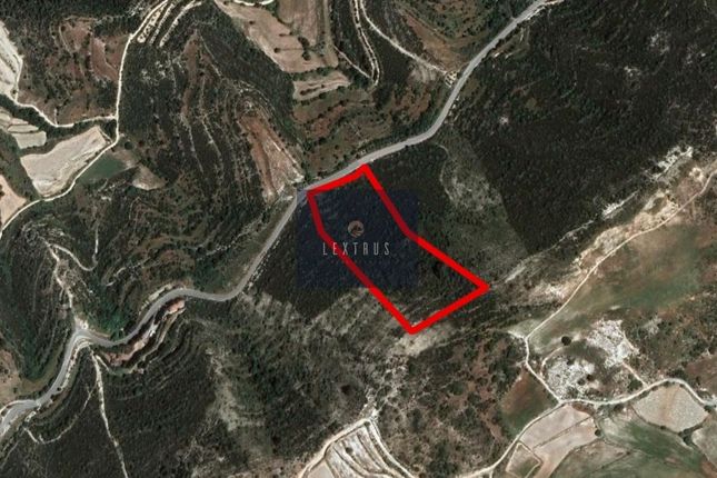 Thumbnail Land for sale in Paphos, Cyprus