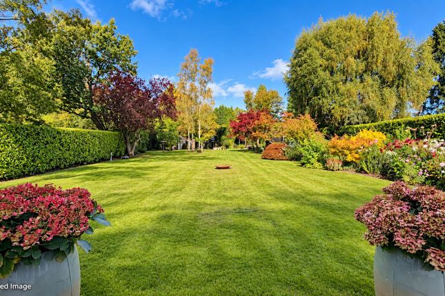 Beacon Hill, The Drive, Banstead photo 4