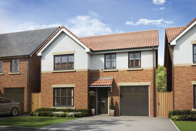 Thumbnail Detached house for sale in "The Eynsham - Plot 3" at Eden Drive, Sedgefield, Stockton-On-Tees