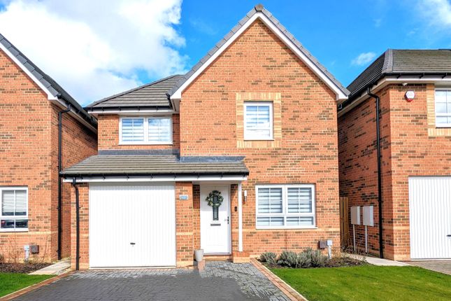 Thumbnail Detached house for sale in Windmill Close, Hatfield, Doncaster
