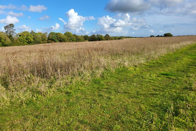 Land for sale in Northampton Road, Bedfordshire