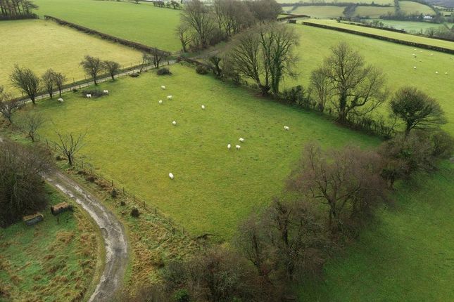 Cefn Bryn Isaf, Cribyn, Lampeter photo 2