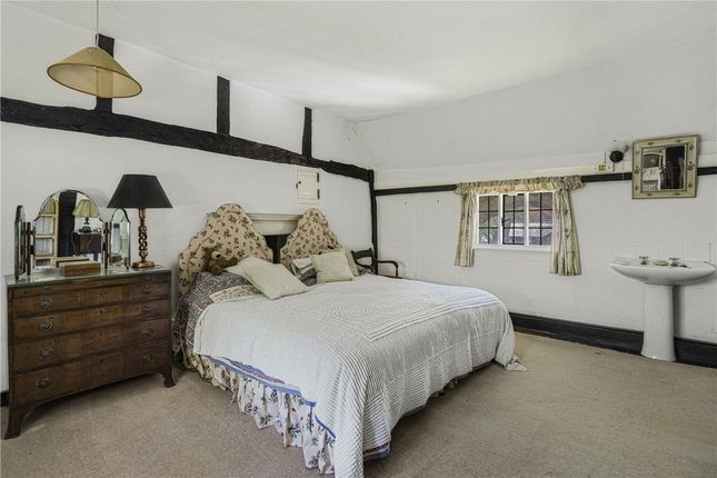 Picture 11