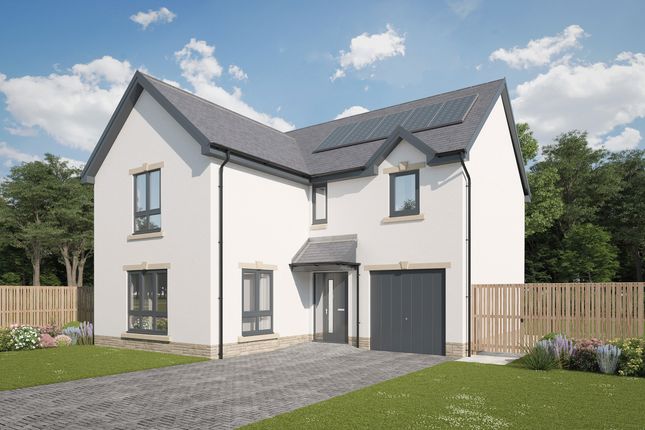 Thumbnail Detached house for sale in "The Woburn" at Firth Road, Auchendinny, Penicuik