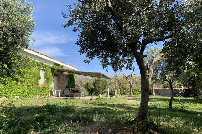 Country house for sale in Santa Maria Coghinas, Sassari, Sardinia, Italy
