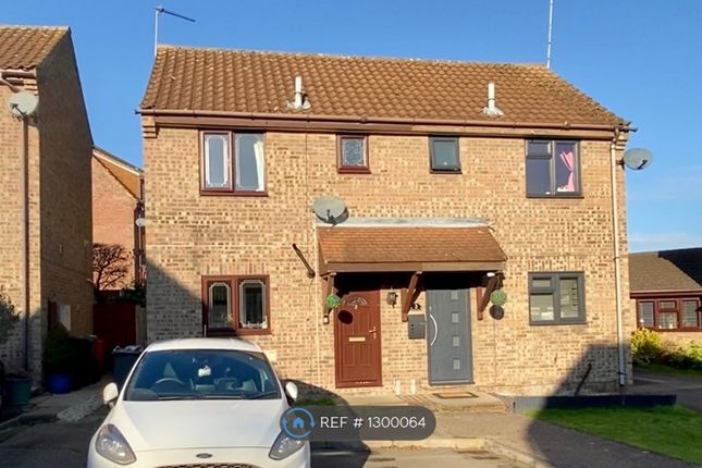 Thumbnail Semi-detached house to rent in Primrose Place, Witham