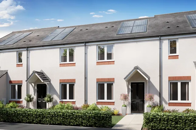 Persimmon Homes - Burgh Gate