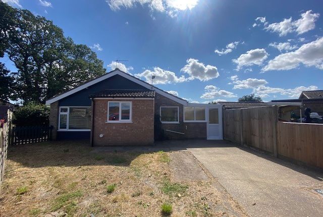 Detached bungalow to rent in King Georges Avenue, Rollesby, Great Yarmouth