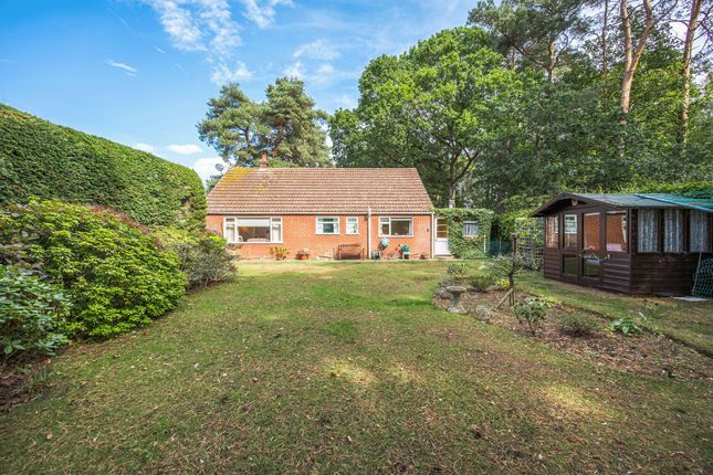 59 Pineheath Road, Holt photo 4