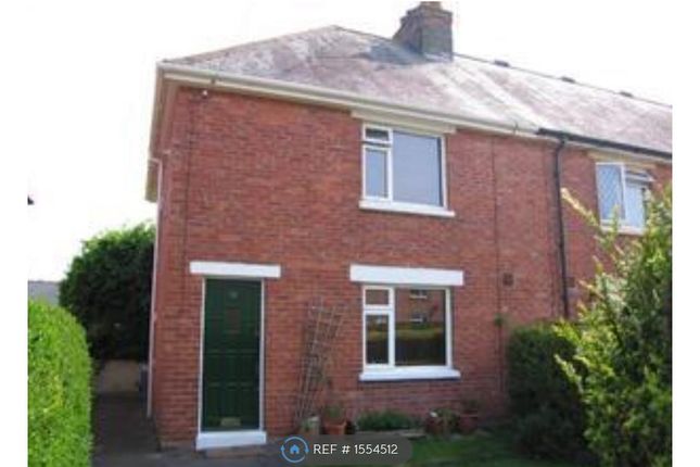Thumbnail Semi-detached house to rent in Windsor Road, Dorchester