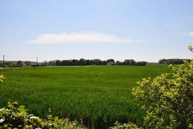 Dsc_0007.Jpg