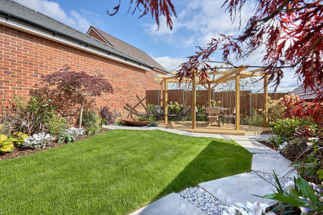 Detached house for sale in "The Juniper" at Colchester Road, Coggeshall, Colchester
