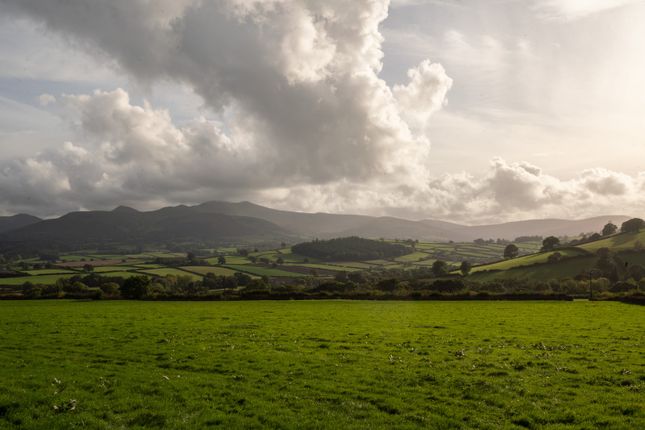 236656 - Ty-Hedfan-Tmh-38.Jpg