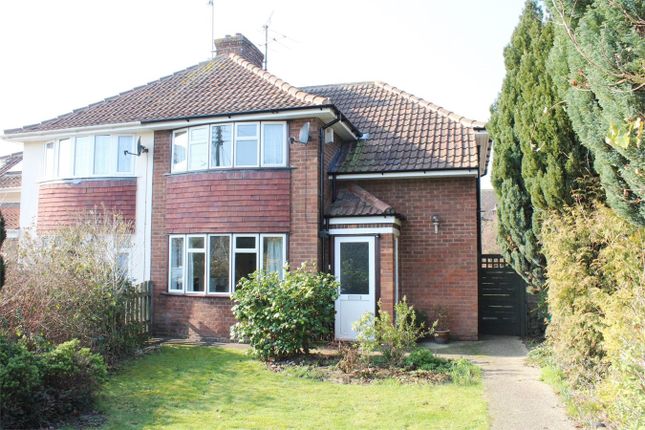 Thumbnail Semi-detached house to rent in Bridgwater Road, Taunton