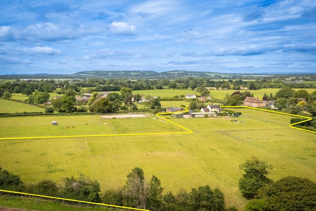 Ivy House Farm, Market Drayton photo 4
