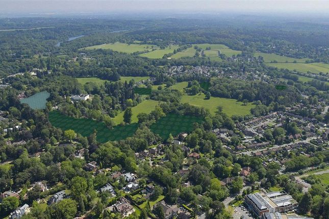 Sunningdale Park